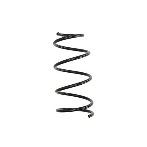 Coil spring rear fits - spring, l/r