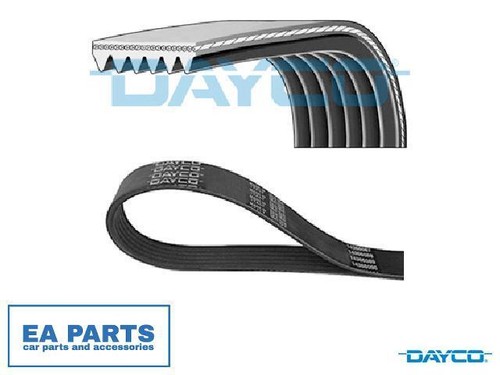 Ribbed belts for - v-ribbed,