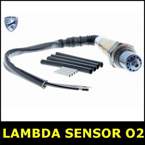 Lambda sensor before - before, cat